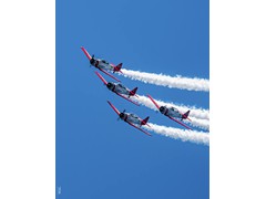 243125366_4658483747542353_5443986698859419263_n